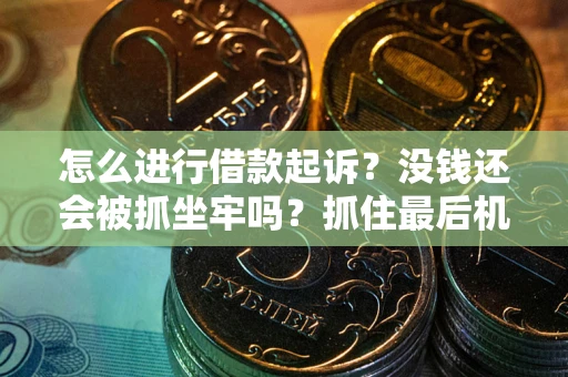 济南怎么进行借款起诉？没钱还会被抓坐牢吗？抓住最后机会！