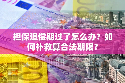 济南担保追偿期过了怎么办？如何补救算合法期限？