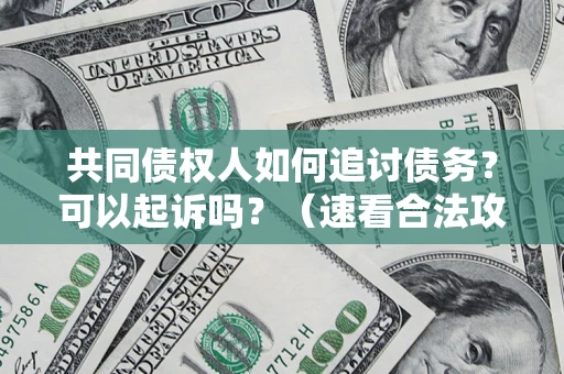 济南共同债权人如何追讨债务？可以起诉吗？（速看合法攻略）